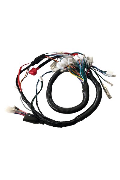 OEM Elektrik Tesisatı Cg 100 - 125 - 150