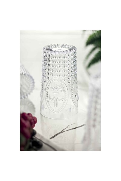 Depa Findit Acrylic Transparent Single Tall Cup & Water Soft Drink Cup 750 Ml (Not Large Size & Glass)