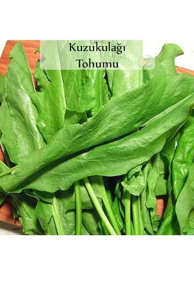 Fento Ekşi Otu Tohumu Kuzukulağı Tohumu 1 Paket (1gr) Kuzu Kulağı Ekşimen Otu...