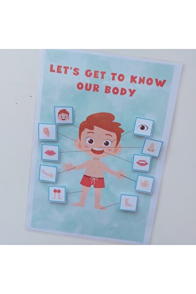 Etkinlik ve çocuk Let's Get to Know Our Body Male English