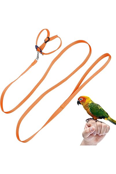 A.C.E.K PLASTİK Budgie Collar Paradise Parrot Collar