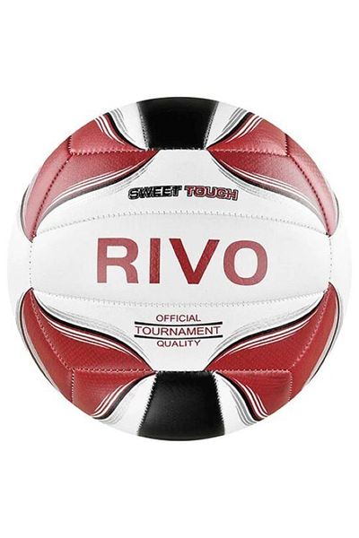 Delta Rivo Volleyball Ball