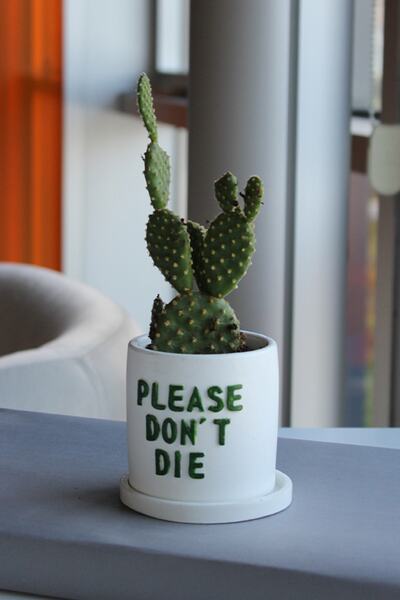 The Craft Thor Beton El Yapımı Slogan Saksı "please Don't Die"