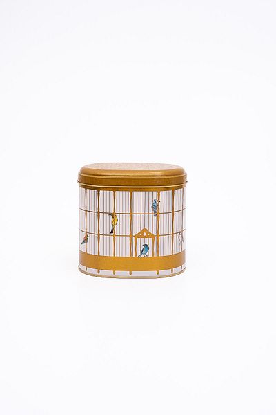 EVLE Er004-t7 Bird Cage Patterned Oval Metal Storage Container 11x15 Cm