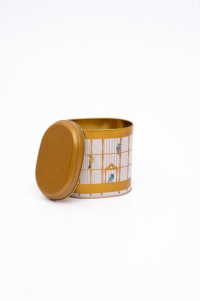 EVLE Er004-t7 Bird Cage Patterned Oval Metal Storage Container 11x15 Cm