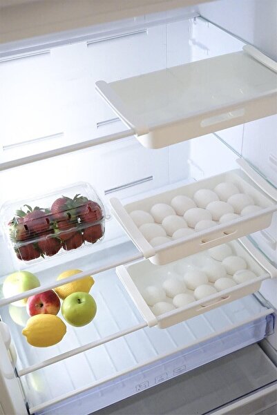Hayveys Practical Snap-on Latch Shelf Egg Holder 15-Piece In-Cabinet Egg Storage Box (D-32)