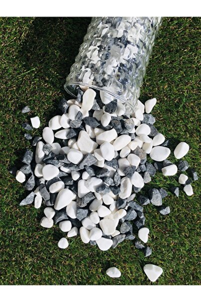 Asenya Renkli Çakıl Taşı 3 Kg 1-2 Cm Siyah Beyaz Saksı Dibi Teraryum Vazo Dib...
