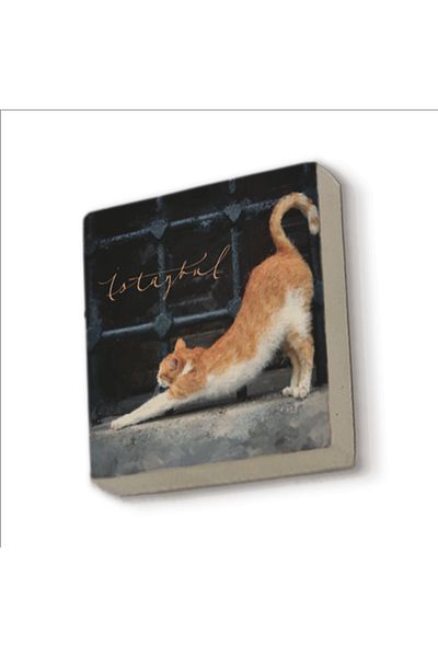 Sadrazam Στολίδι Ψυγείου Istanbul Cat Printed Natural Stone Magnetkrt-063