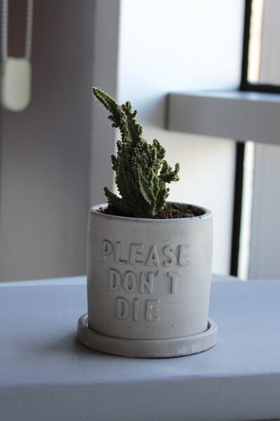 The Craft Thor Beton El Yapımı Slogan Saksı "please Don't Die"