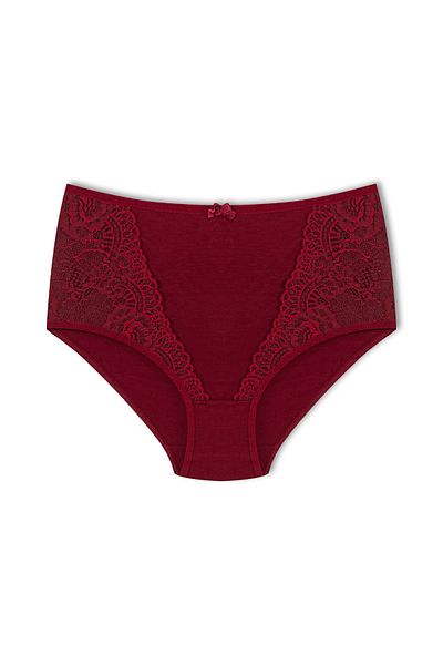 HNX 2 Πακέτα Ψηλόμεση Plus Size Δαντέλα Λεπτομέρεια Βαμβακερά Bato Γυναικεία κιλότα