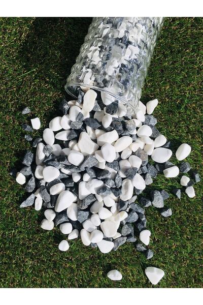 Asenya Renkli Çakıl Taşı 4 Kg 1-2 Cm Siyah Beyaz Saksı Dibi Teraryum Vazo Dib...