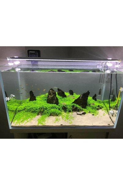 AquaLed META Aqualedmeta Beyaz 150cm Açma-kapama Anahtarlı Bar Led