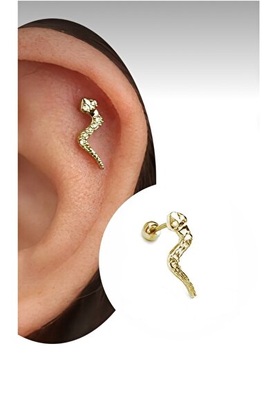 BY DİLEK ÇETİN ACCESSORY Çelik Yılan Figürü Kıkırdak Helix Tragus Piercing (1...