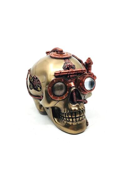 Rakun Home Steampunk Serisi Gizli Bölmeli Kuru Kafa Biblo