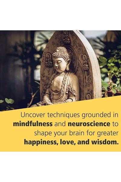 Kolektif Kitap Brain of Buddha - أحذية عملية للعلوم العصبية خفيفة الوزن وأنيقة