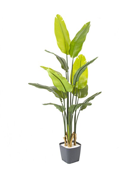 Herdekora Yapay Starliçe Ağacı Gerçek Dokulu 13 Yapraklı Yeşil 165 Cm.