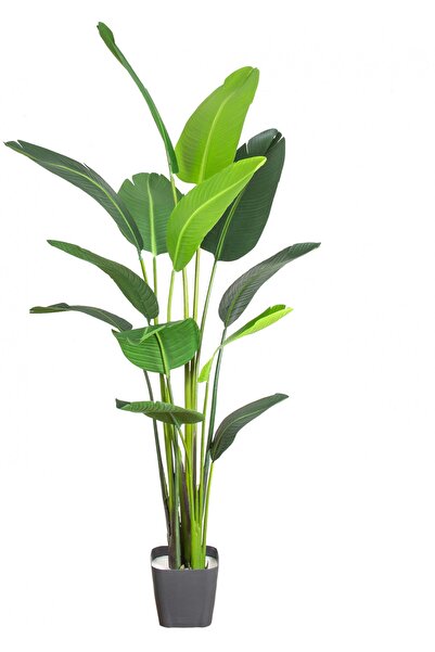 Herdekora Yapay Starliçe Ağacı 13 Yapraklı Yeşil 180 Cm.