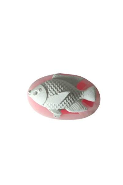 AnkaHobiMarket Balık No:1 Silikon Kalıp