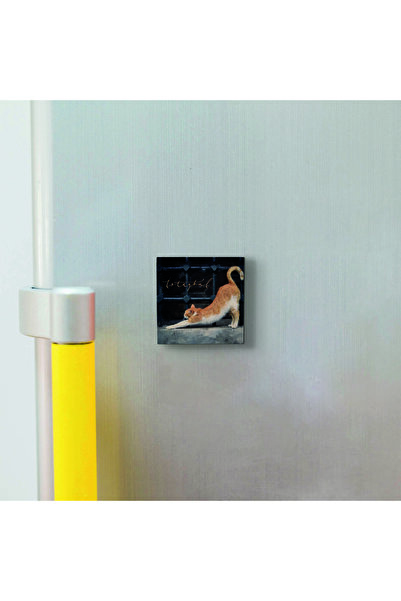 Sadrazam Istanbul Cat Printed Natural Stone Magnetkrt-063 Refrigerator Ornament