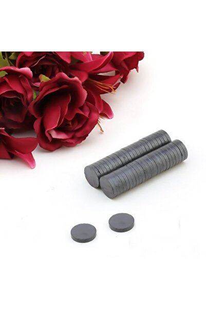 Aker Hediyelik Mıknatıs Ufak Mıknatıslar 500 Adet Küçük Mıknatıslar Süsleme Araç Gereçleri