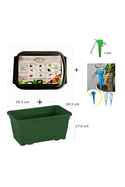 Minia Bahçe Bitki ve Sanat Atölyesi Bostan  Patlıcan Çimlendirme Kiti Balkon ...