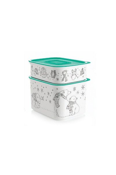 Tupperware Water Polar Star Storage Container Set of 2 (1.3 Lt / 500 Ml)