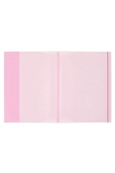 Bigpoint Container pentru notebook A4, pachet de 5, cutie roșie transparentă de 25 de bucăți