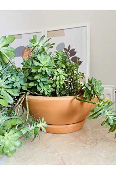 AYIŞIK Doğal Sukulent Toprak Saksı