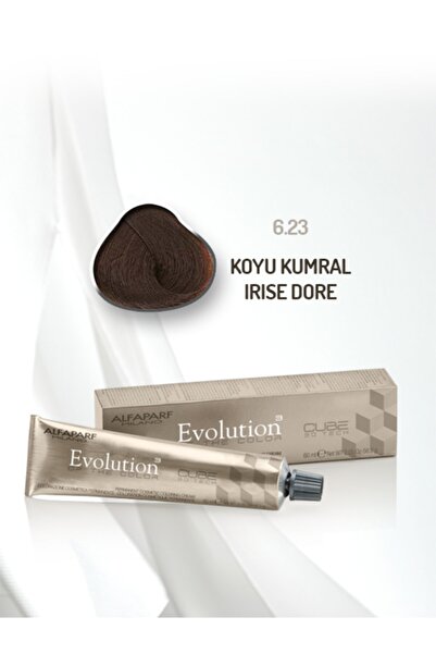 Alfaparf Evolution Saç Boyası 60 ml No: 6.23 Koyu Kumral Irise Dore