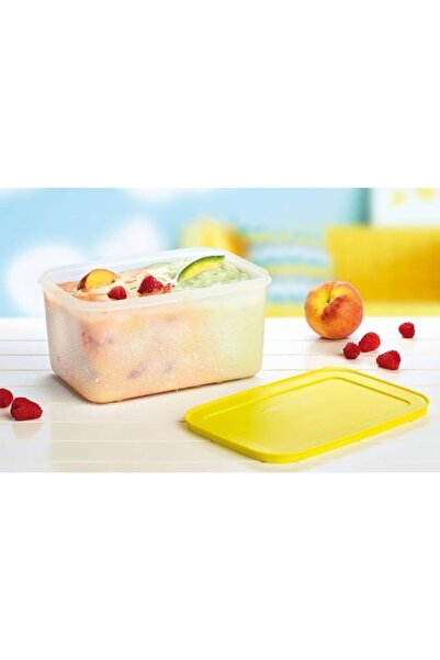 Tupperware Alaska Derin Dondurucu Saklama Kabı 2.5 Lt.
