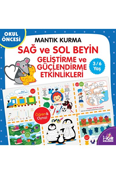 Halk Kitabevi Okul Öncesi Mantık Kurma 3-6 Yaş Mor Kelebek: Sağ Ve Sol Beyin ...