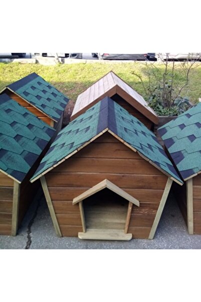 Yesil Kopek Kulubesi Modelleri Fiyatlari Trendyol