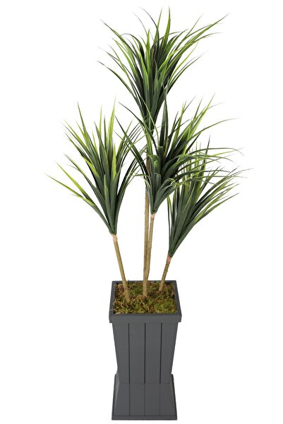 Yapay Çiçek Deposu Ahşap Saksıda 4lü Yapay Yucca Ağacı 160 Cm