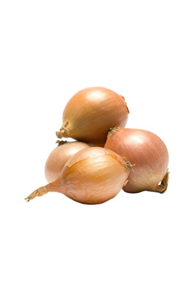 KALAMAN ONLİNE Arpacık Soğan 500 Gr