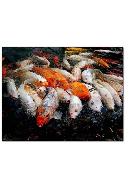 Cakatablo Ahşap Tablo Su Üzerine Çıkmış Koi Balıkları Yağlıboya Çizim (35x50 ...