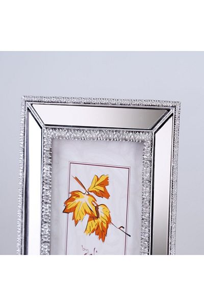 Selim 15x20 Elsira Mirrored Frame Silver