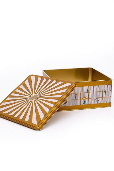 EVLE Er029-t7 Bird Cage Patterned Square Metal Storage Container 24x24 Cm
