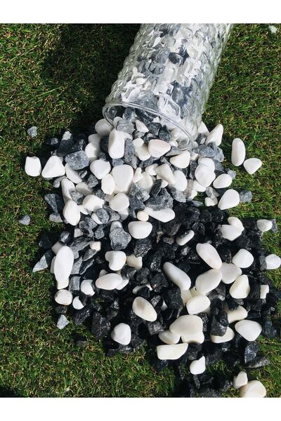Asenya Renkli Çakıl Taşı 1 Kg 1-2 Cm Siyah Beyaz Saksı Dibi Teraryum Vazo Dibi Dekoratif Dolomit Taş