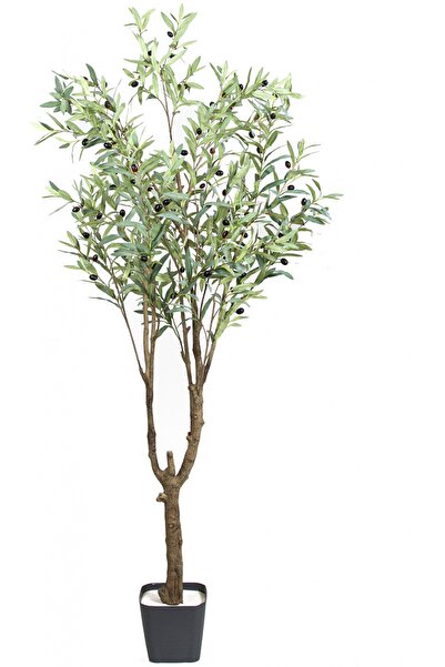 Herdekora Yapay Zeytin Ağacı Yeşil 210 Cm.