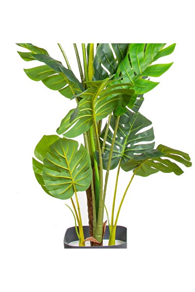Herdekora Yapay Deve Tabanı Ağacı (monstera Ağacı) Gerçek Dokulu 16 Yapraklı 150 Cm.