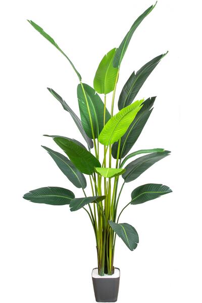 Herdekora Yapay Starliçe Ağacı 18 Yapraklı Yeşil 245 Cm.