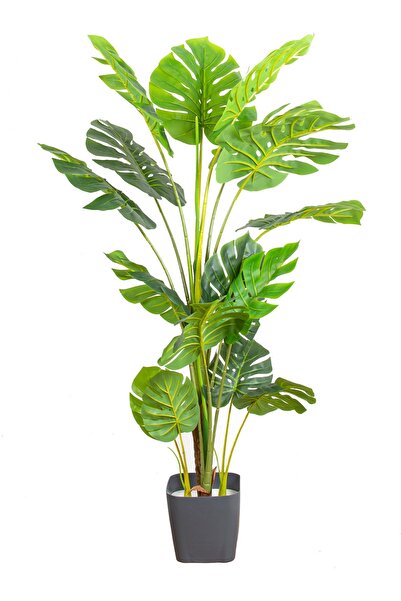Herdekora Yapay Deve Tabanı Ağacı (monstera Ağacı) Gerçek Dokulu 16 Yapraklı 150 Cm.