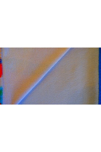 PANCHY CANKY Digital Printed Beach Towel