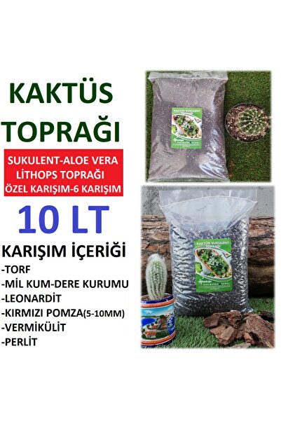 Asenya Sukulent & Kaktüs Toprağı 10 Lt Yavaş Salınım Gübreli Teraryum Aloe Ve...