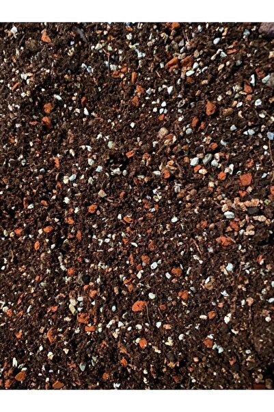 Asenya Sukulent & Kaktüs Toprağı 20 Lt Yavaş Salınım Gübreli Teraryum Aloe Vera Lithops Sedum Için Toprak