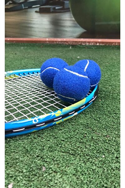 Werkon 3 Adet Antrenman Tenis Topu Mavi