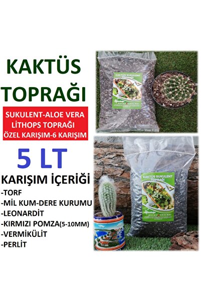 Asenya Sukulent & Kaktüs Toprağı 5 Lt Yavaş Salınım Gübreli Teraryum Aloe Ver...