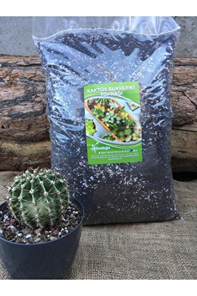 Asenya Sukulent & Kaktüs Toprağı 20 Lt Yavaş Salınım Gübreli Teraryum Aloe Vera Lithops Sedum Için Toprak