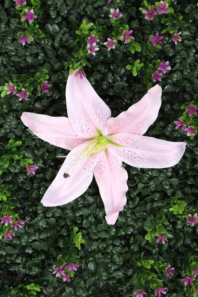 Yapay Çiçek Deposu Yapay Dikey Bitki Hazır Duvar Paneli 55 Cm X 55 Cm Model 10