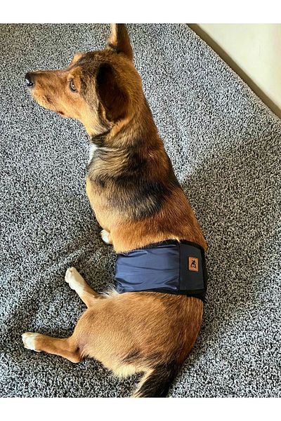 UTDpet Men's Dog Patterned Padded Washable Waist Band Briefs